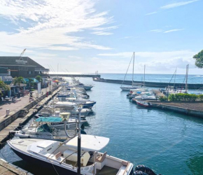 RESIDENCE AU BORD DE L'EAU chambre RIVE DROITE climatisée pour 2 personnes